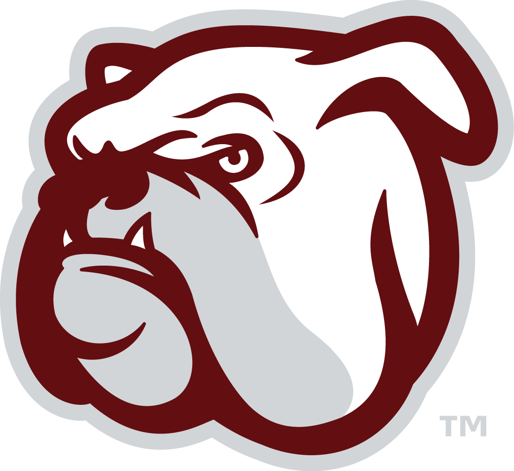 Mississippi State Bulldogs 2009-Pres Alternate Logo v6 iron on transfers for T-shirts